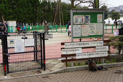ドッグラン 駒沢 公園